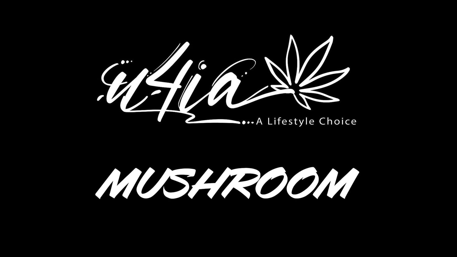 Mushroom Products